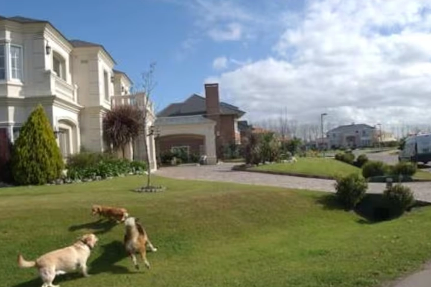 Desarrollo Ayres vila